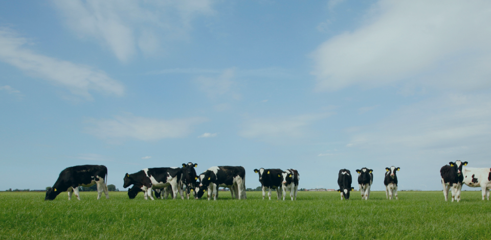 Hoogwegt Orchard Finance Herco Boer Rolf Michon