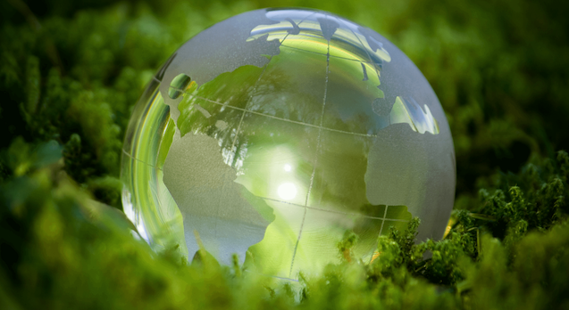 Orchard Finance Risk Artikel Debt Advisory Financieel Adviseur
