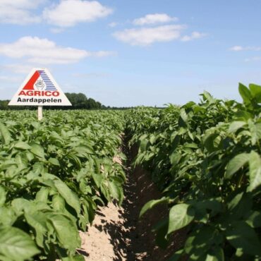 Herfinanciering Agrico Orchard Finance
