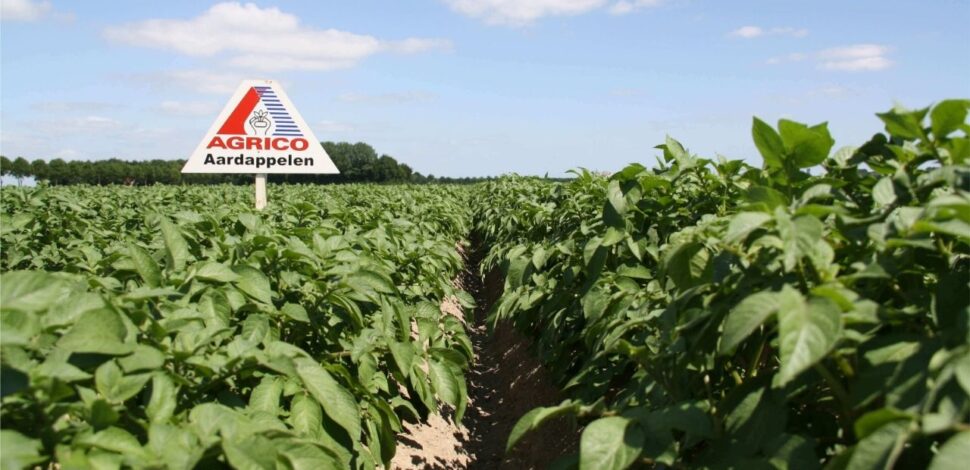 Herfinanciering Agrico Orchard Finance
